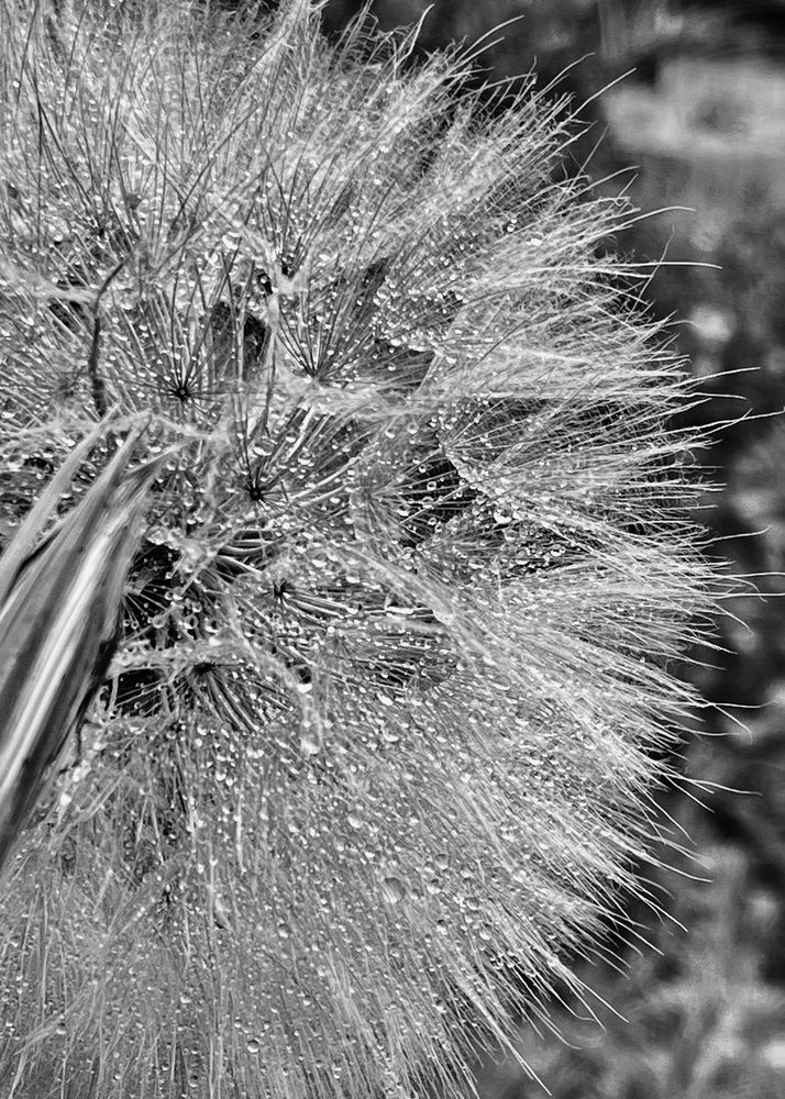 Photograph by Ольга Белоусова