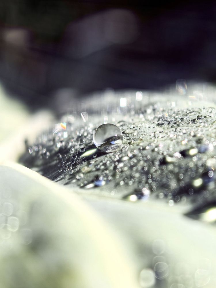 Photograph by Диана Токаревич