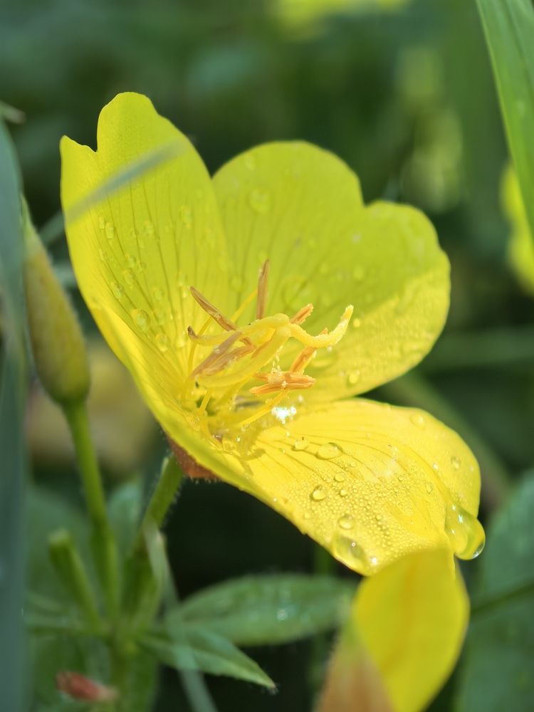 Photograph by Диана Токаревич