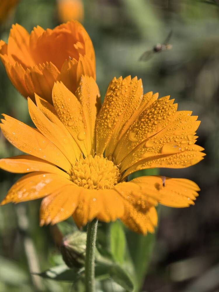 Photograph by Диана Токаревич