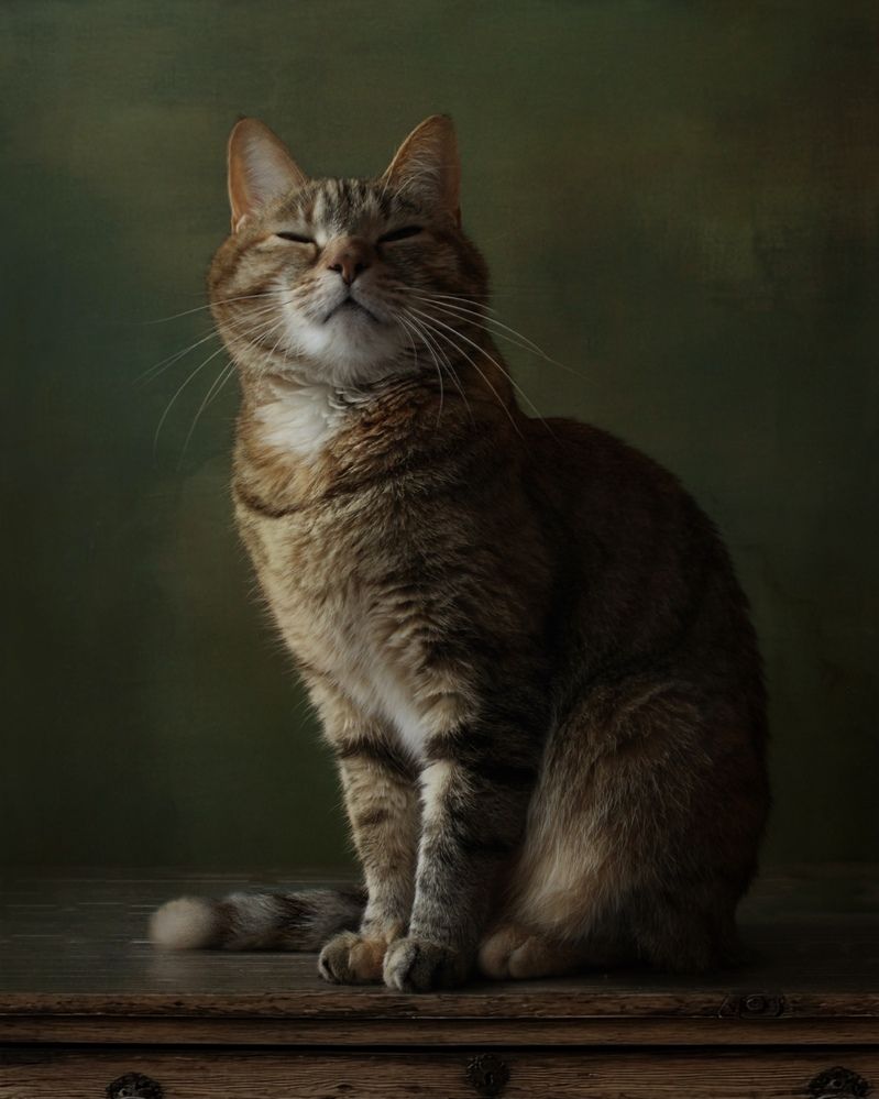 Photograph by Кира Иванова