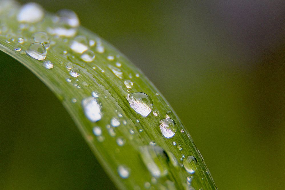 Photograph by Светлана Волхонская