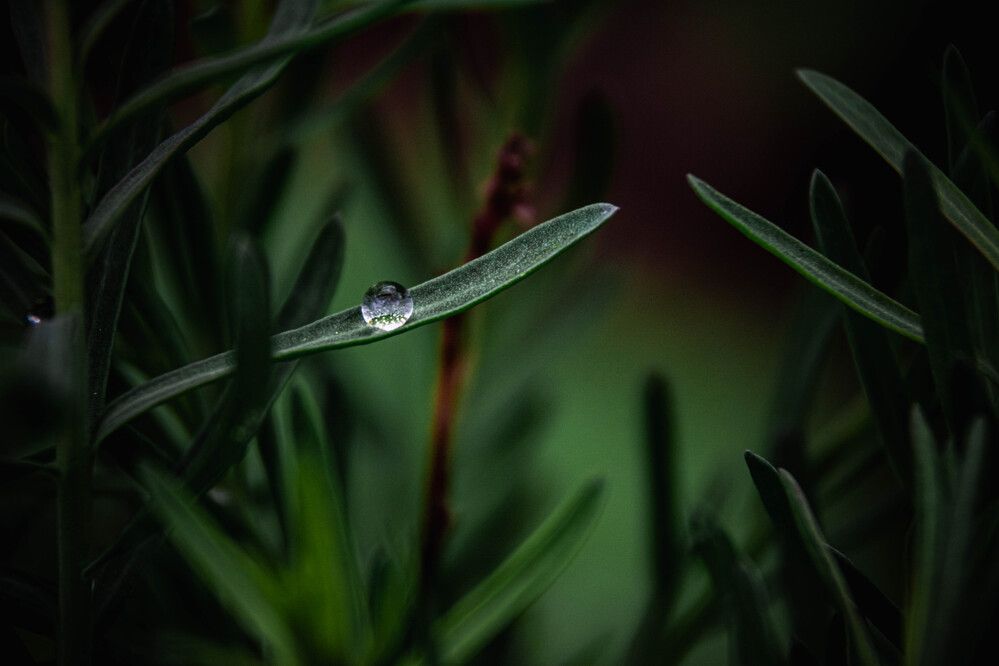 Photograph by Людмила Баймухаметова