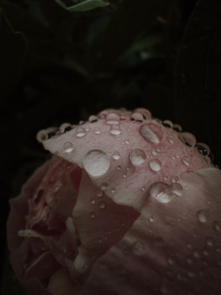 Photograph by Ксения Солодина