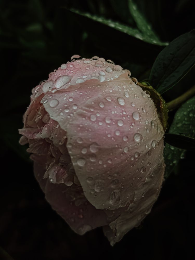 Photograph by Ксения Солодина