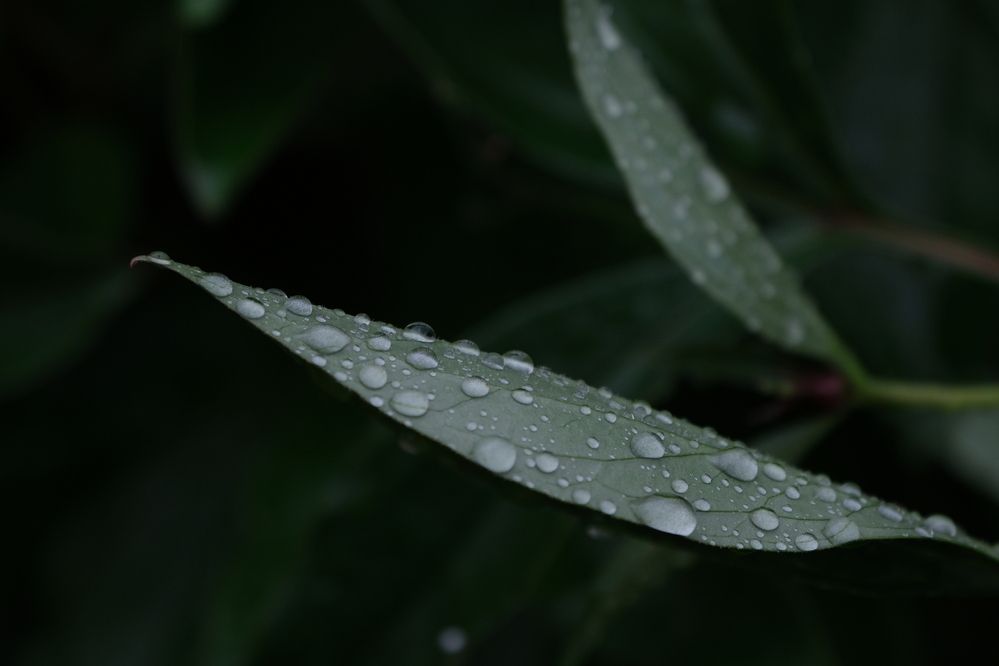 Photograph by Ксения Солодина