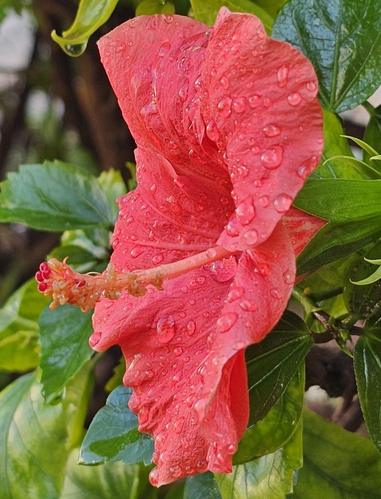 Фотография автора Oksana Podgorodetska