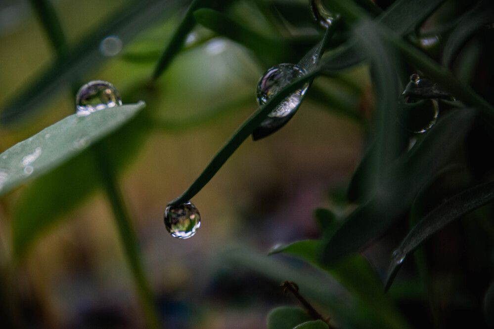 Photograph by Людмила Баймухаметова