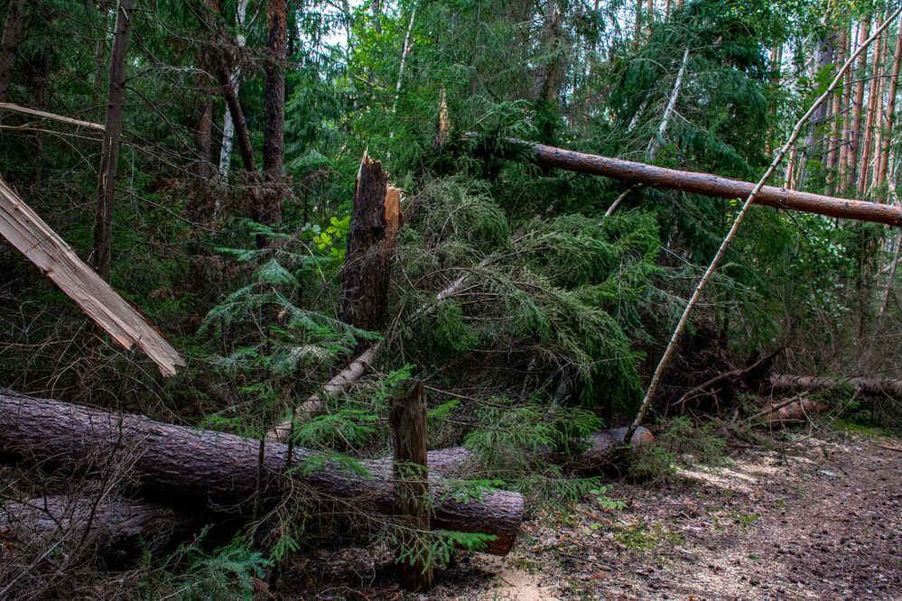 Photograph by Людмила Баймухаметова