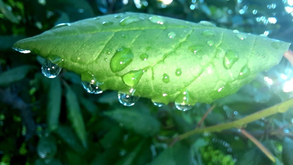 Photograph by Евгения Соловьева
