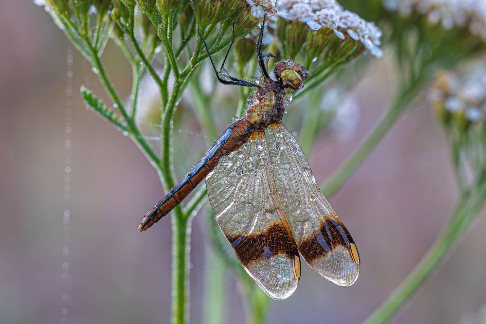 Photograph by Зайцев Роман