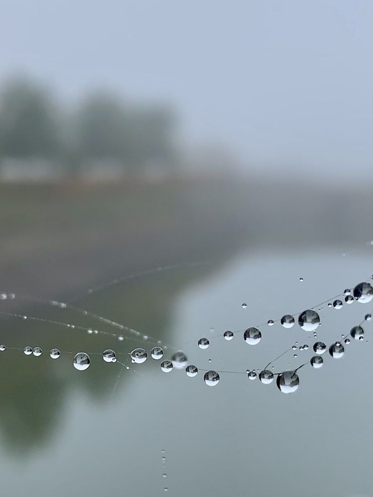 Фотография автора Татьяна Гончарова