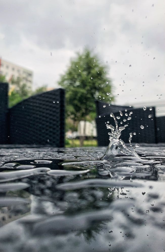 Фотография автора Татьяна Гончарова