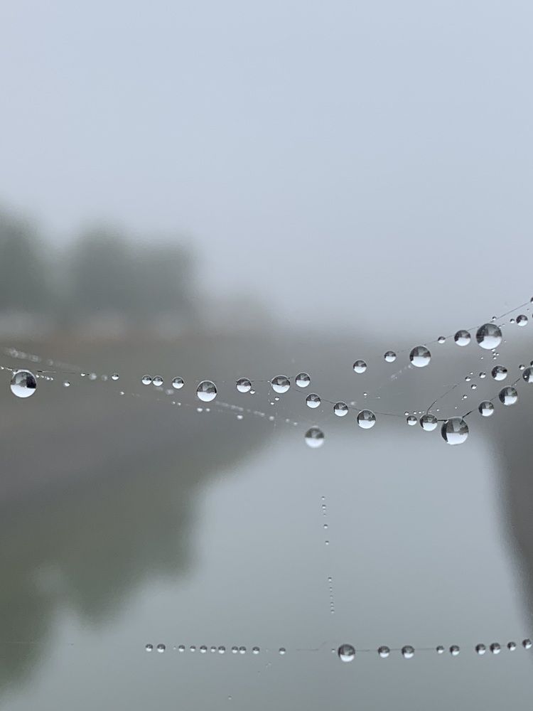 Фотография автора Татьяна Гончарова