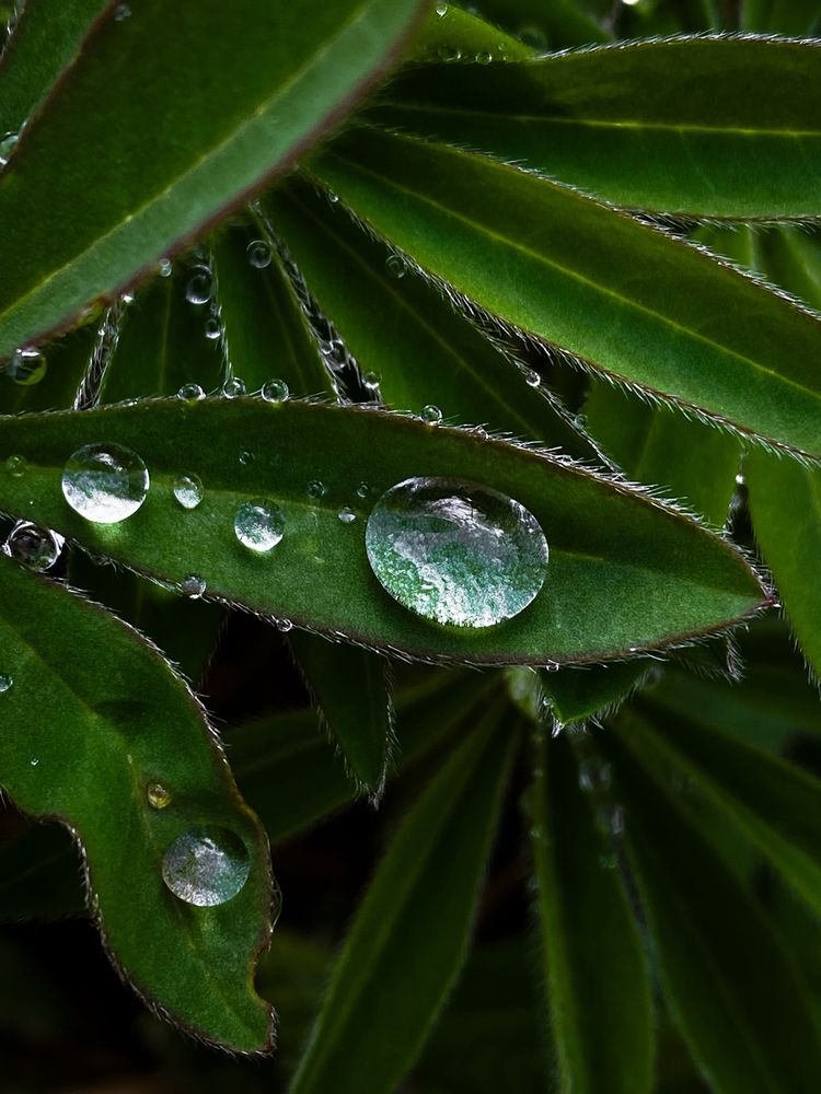 Photograph by Анастасия Гульванюк