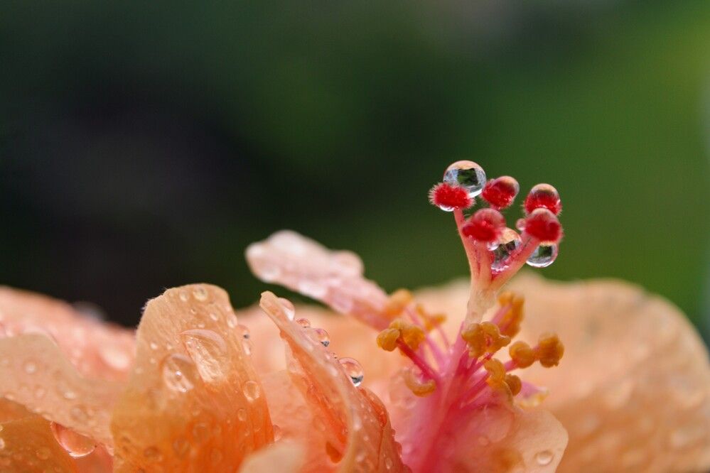 Фотография автора Sheuli Akther