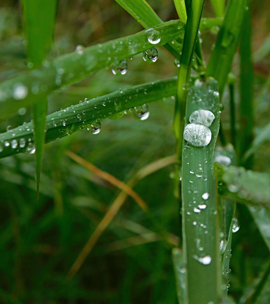 Photograph by Александр Прядко