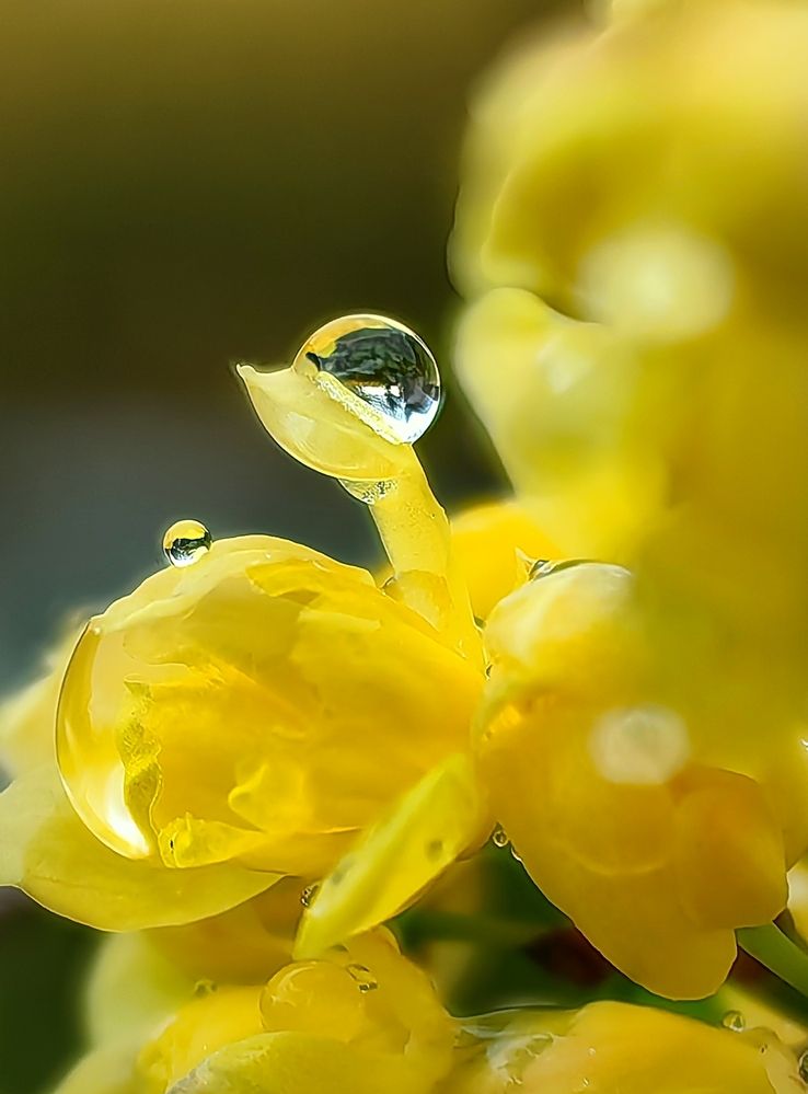 Photograph by Alen Brkić