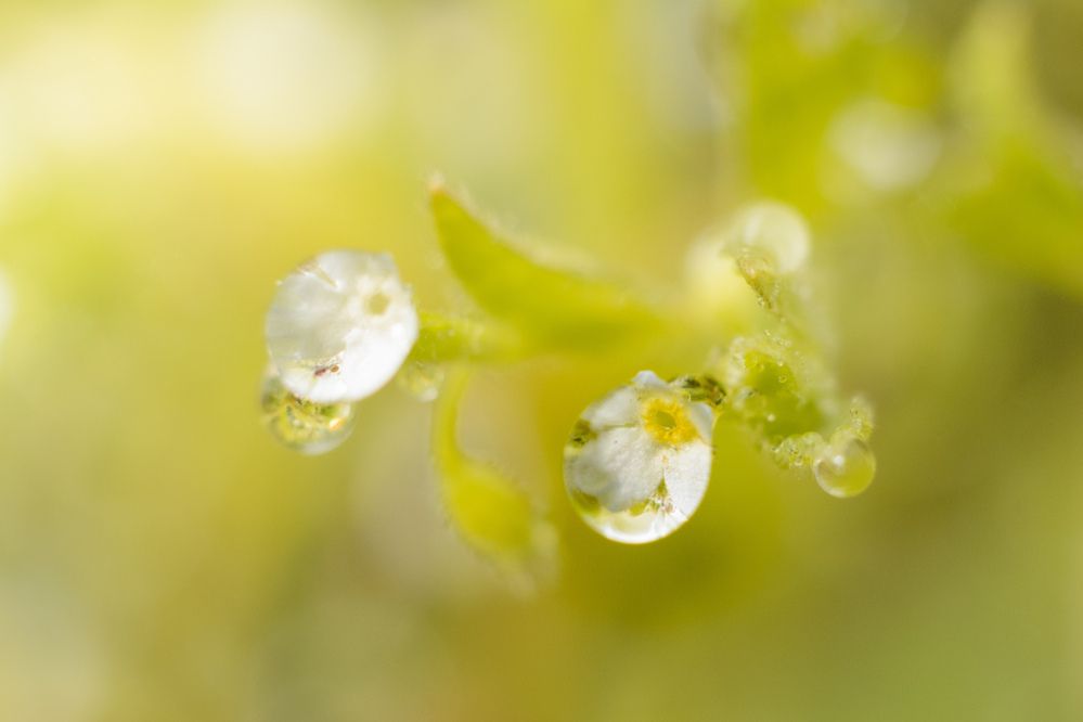 Photograph by Олег Бережных