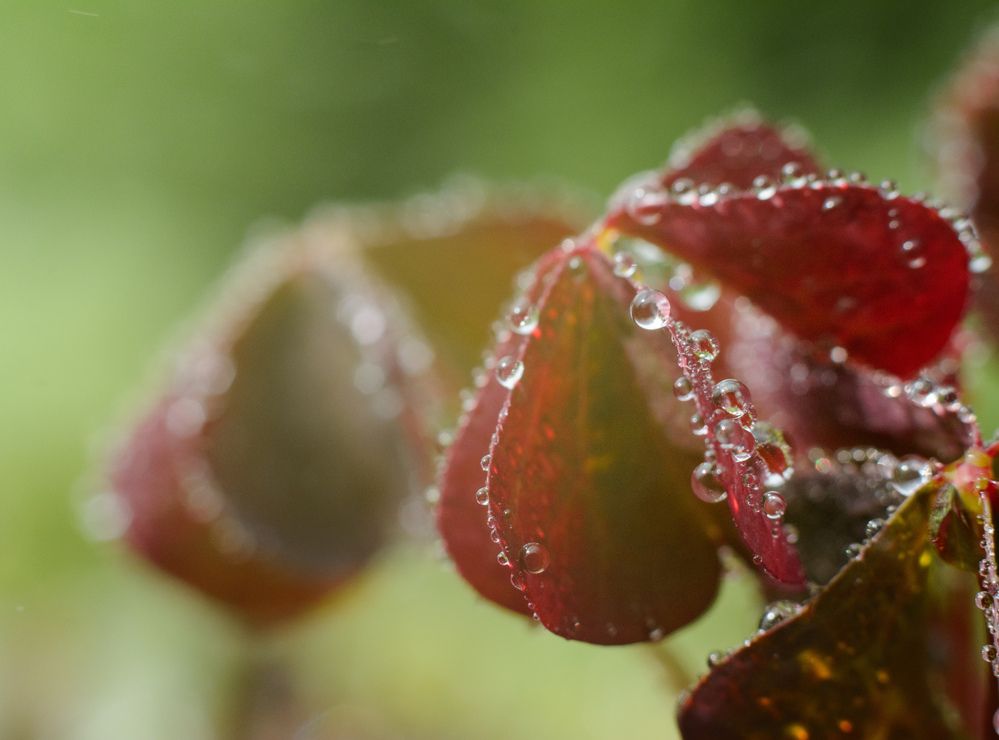 Photograph by Олег Бережных