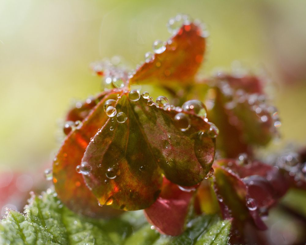 Photograph by Олег Бережных