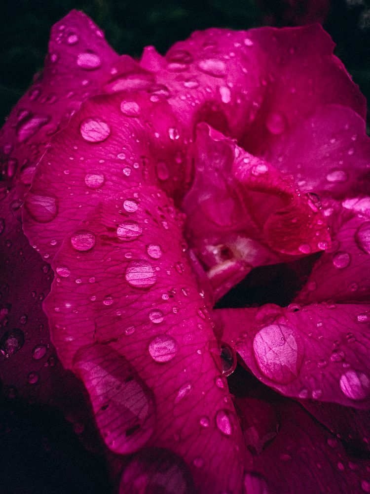 Photograph by Марина Харитонова