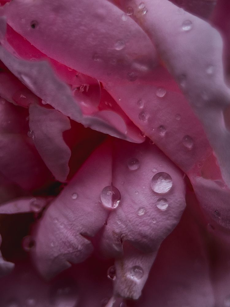 Photograph by Виктория Казакова