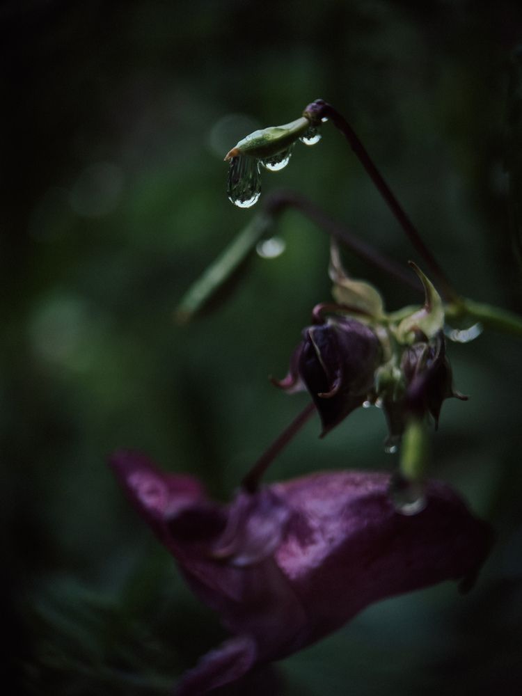 Photograph by Виктория Казакова