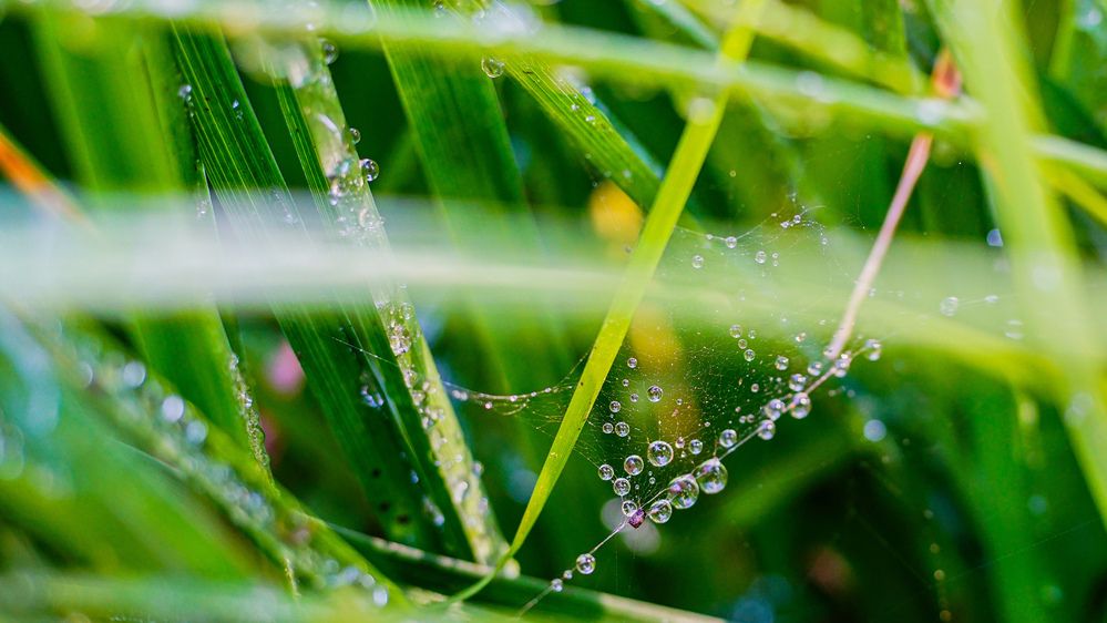 Фотография автора Алексей