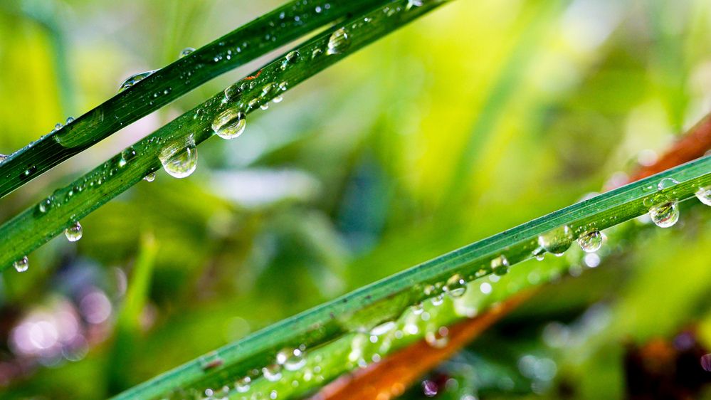 Фотография автора Алексей