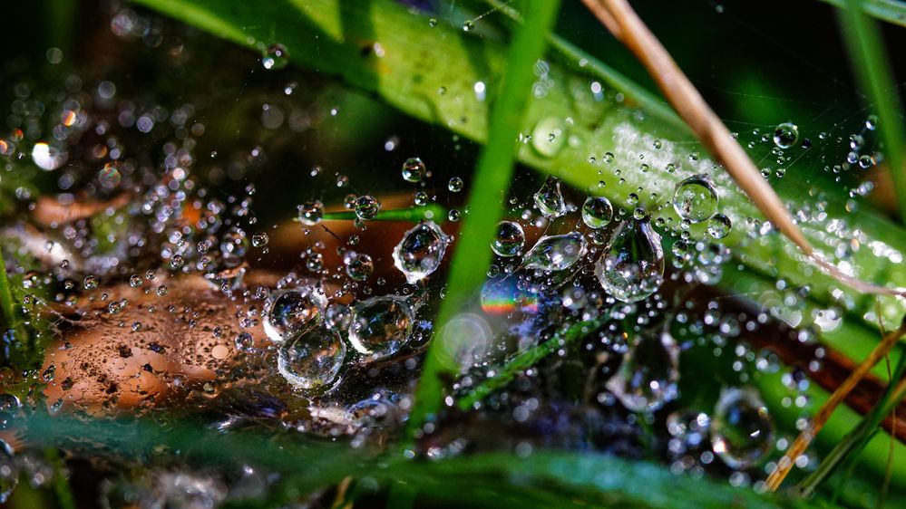 Фотография автора Алексей