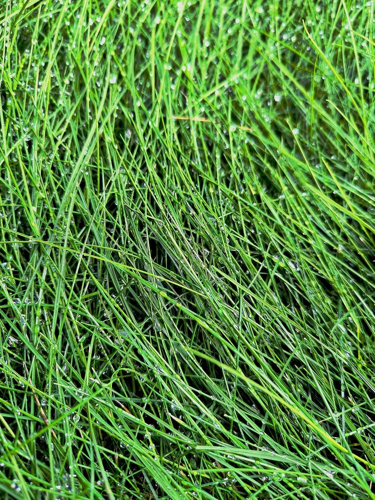 Photograph by Александр Житник