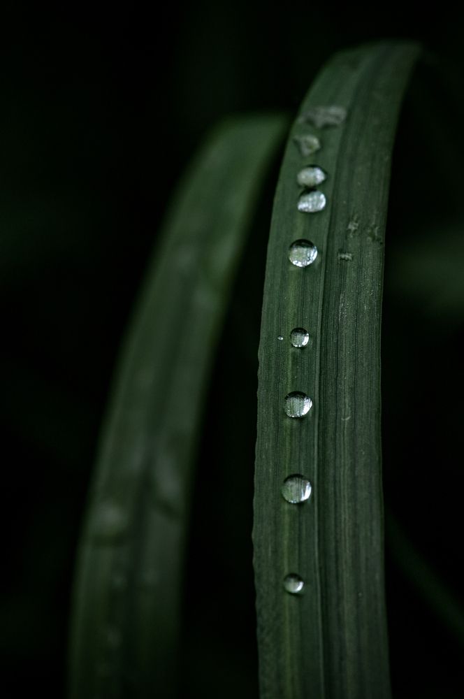 Photograph by Лобанов Денис