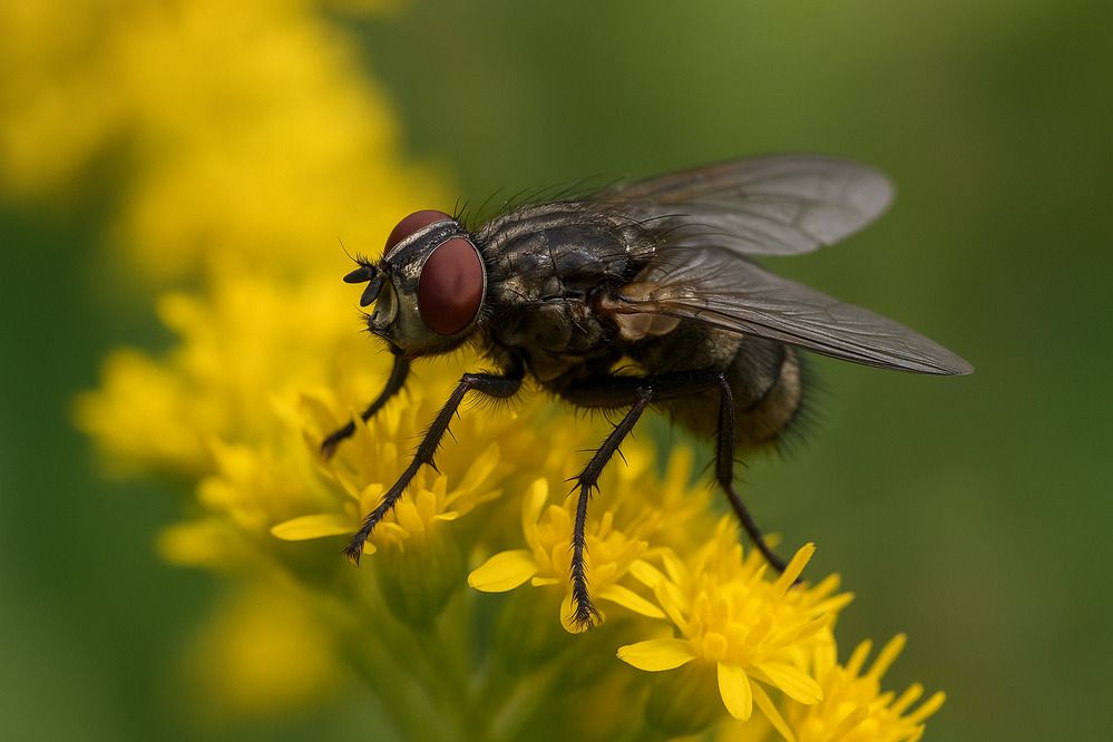 Photograph by Виктория Казакова