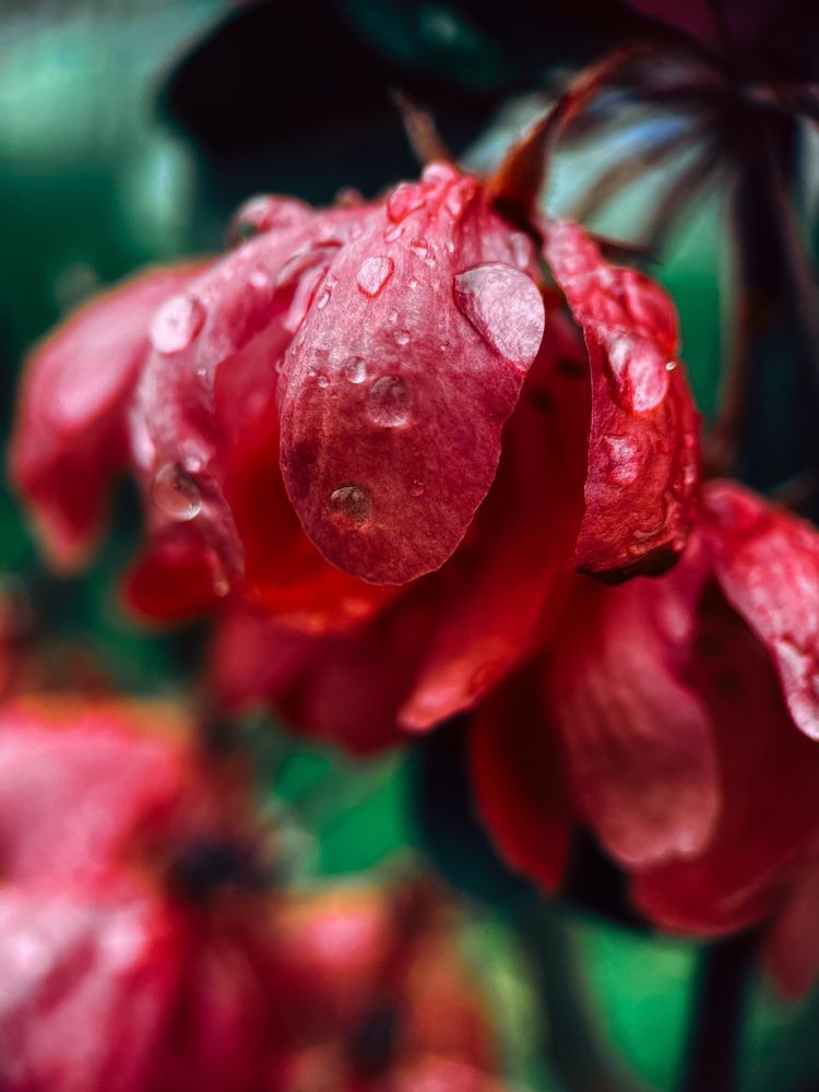 Photograph by Ляйсан Саляхиева