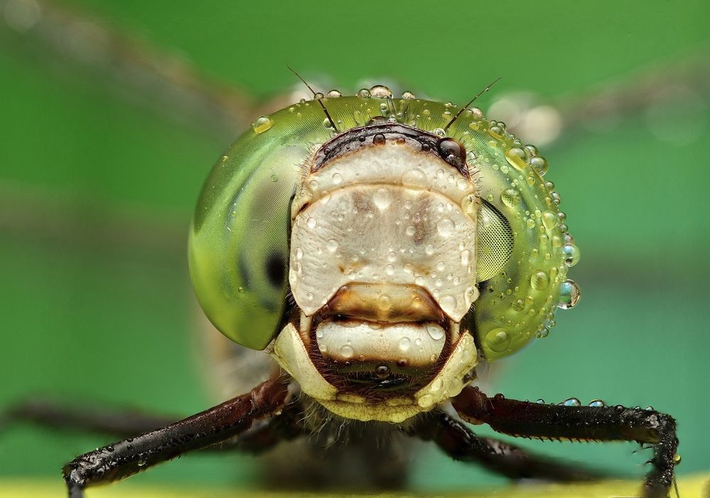 Фотография автора Eduardo Salvador Cabrera