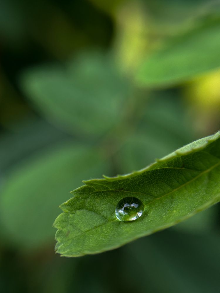 Фотография автора Анастасия