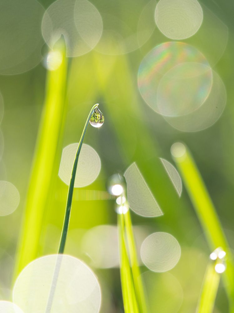 Фотография автора Роман Москвичев