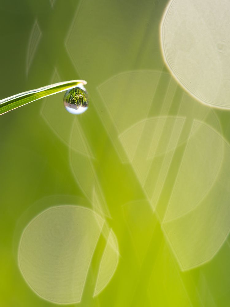 Фотография автора Роман Москвичев