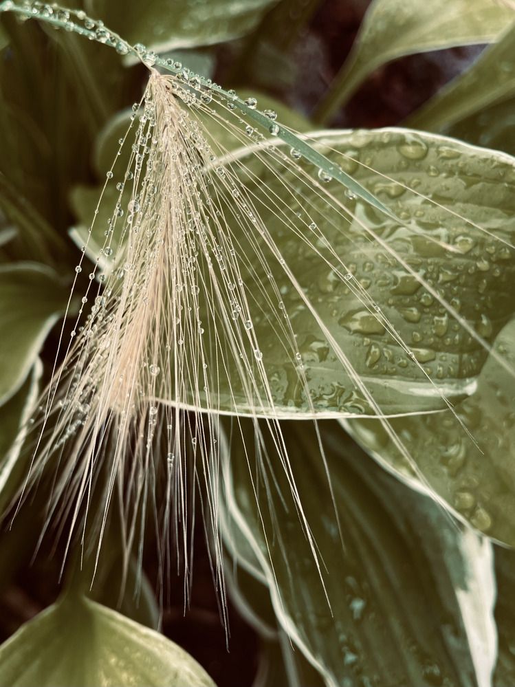 Photograph by Светлана Хохлова