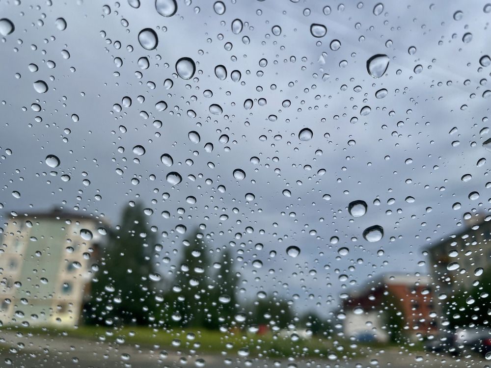 Photograph by Светлана Хохлова