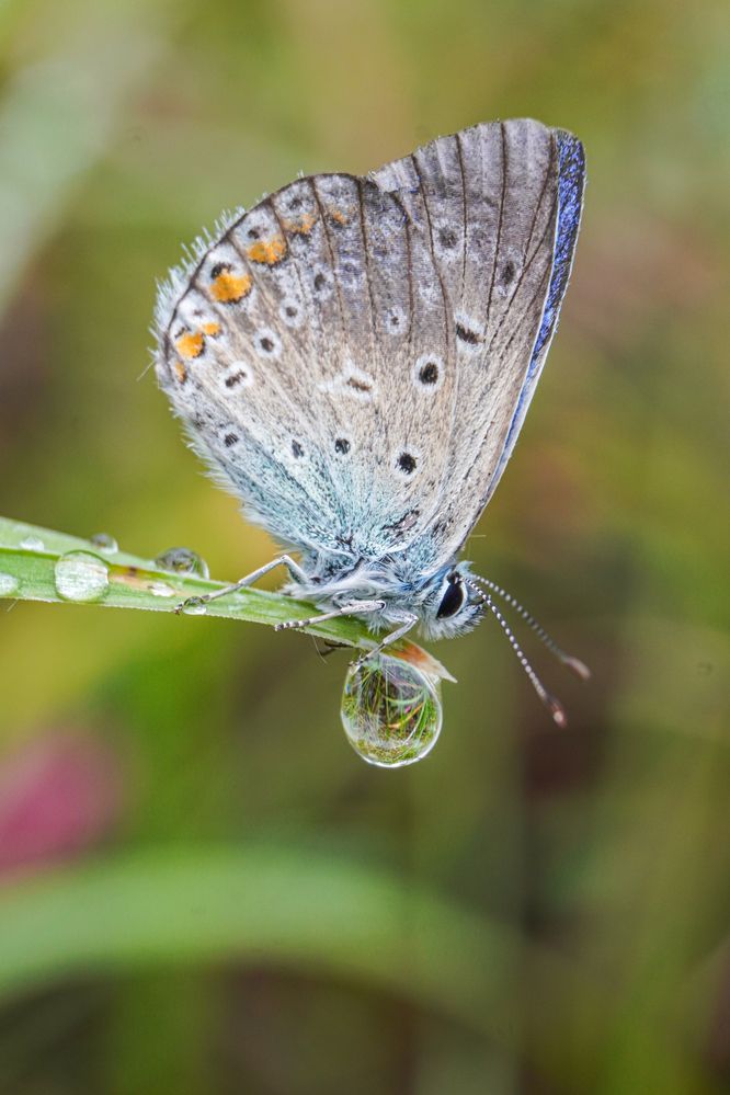 Photograph by Елена