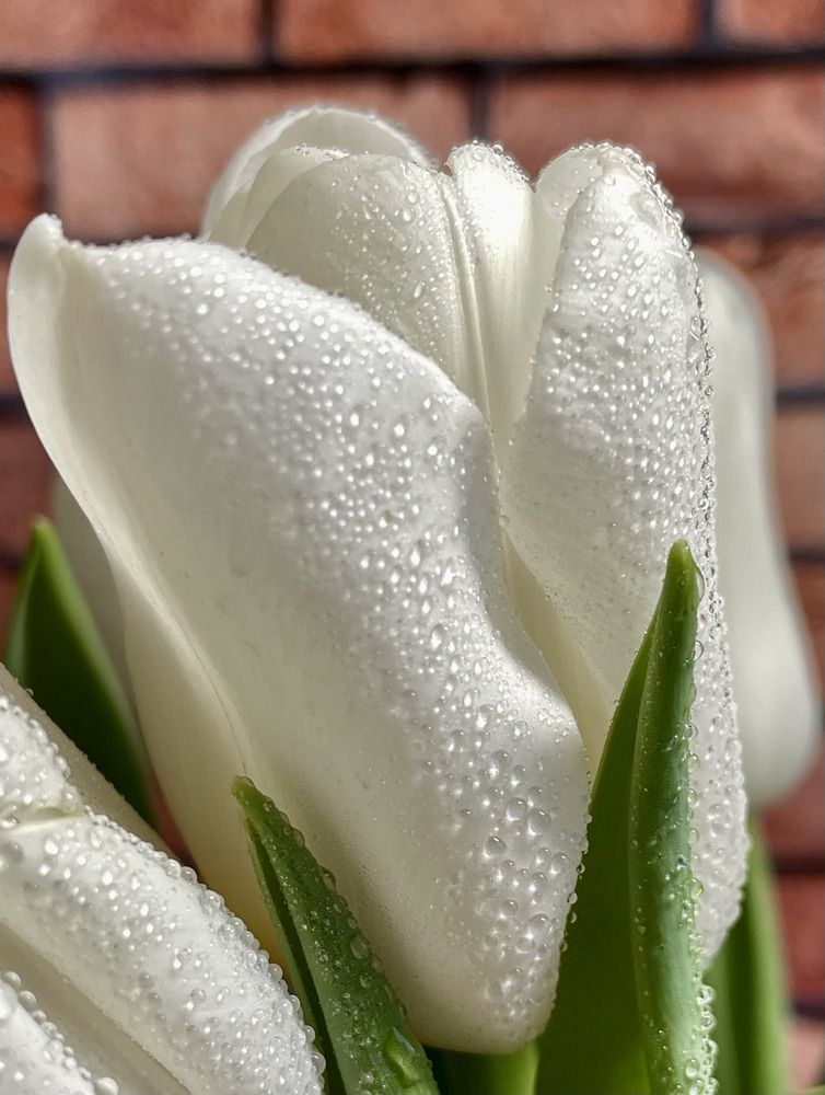 Photograph by Светлана Хохлова