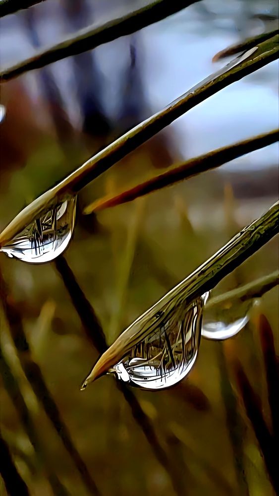 Photograph by Куделенко Оксана