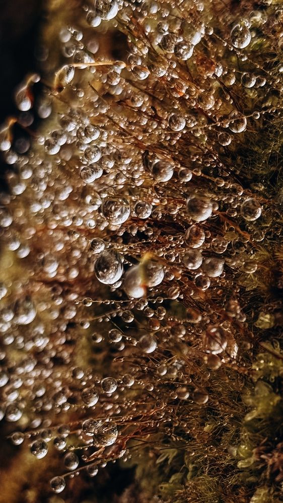 Photograph by Наталья Алфёрова