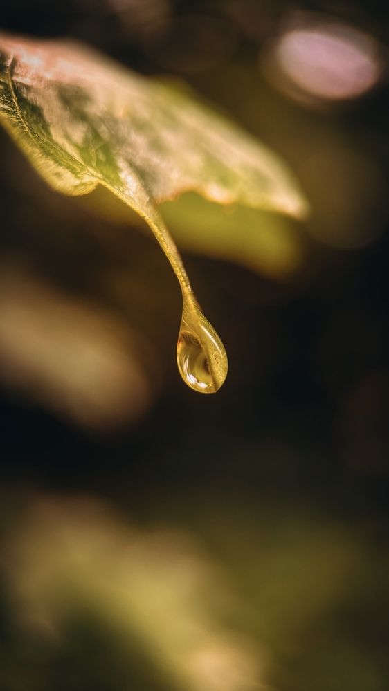 Photograph by Наталья Алфёрова