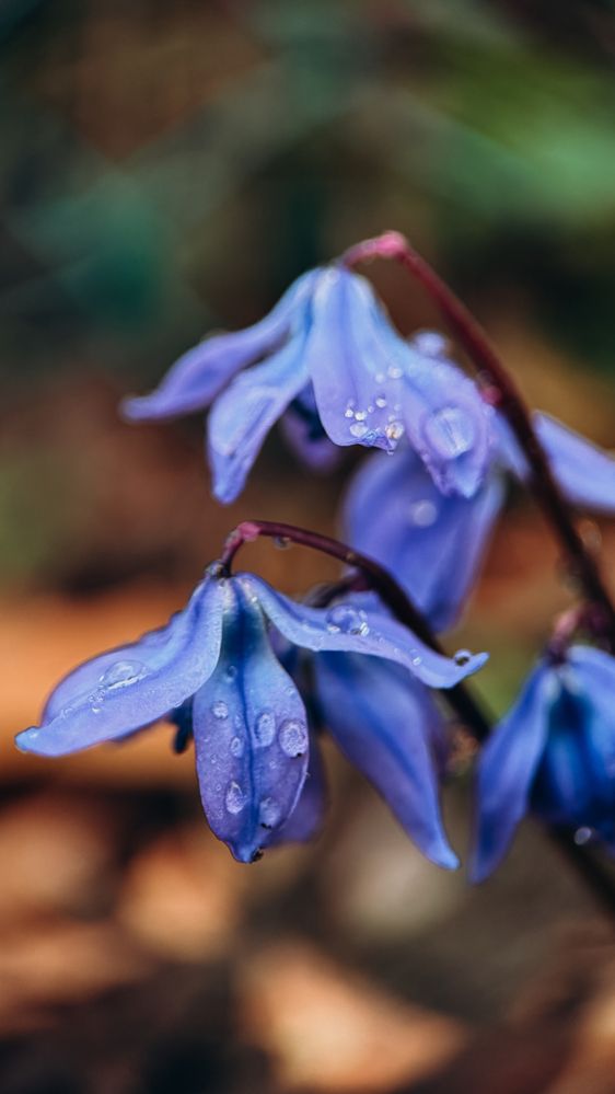 Photograph by Наталья Алфёрова