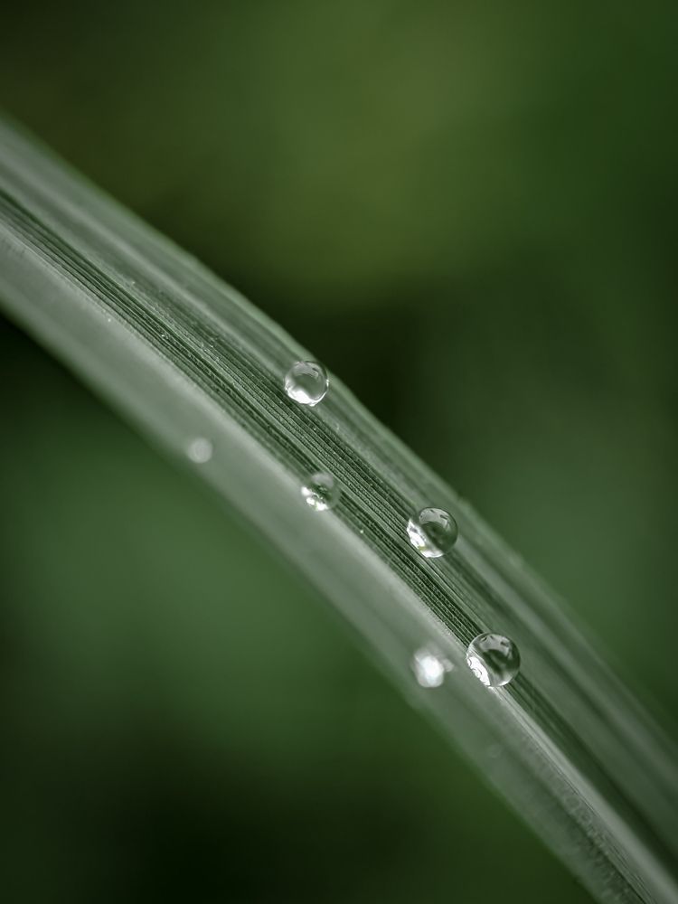 Photograph by Idham Ciptamargana