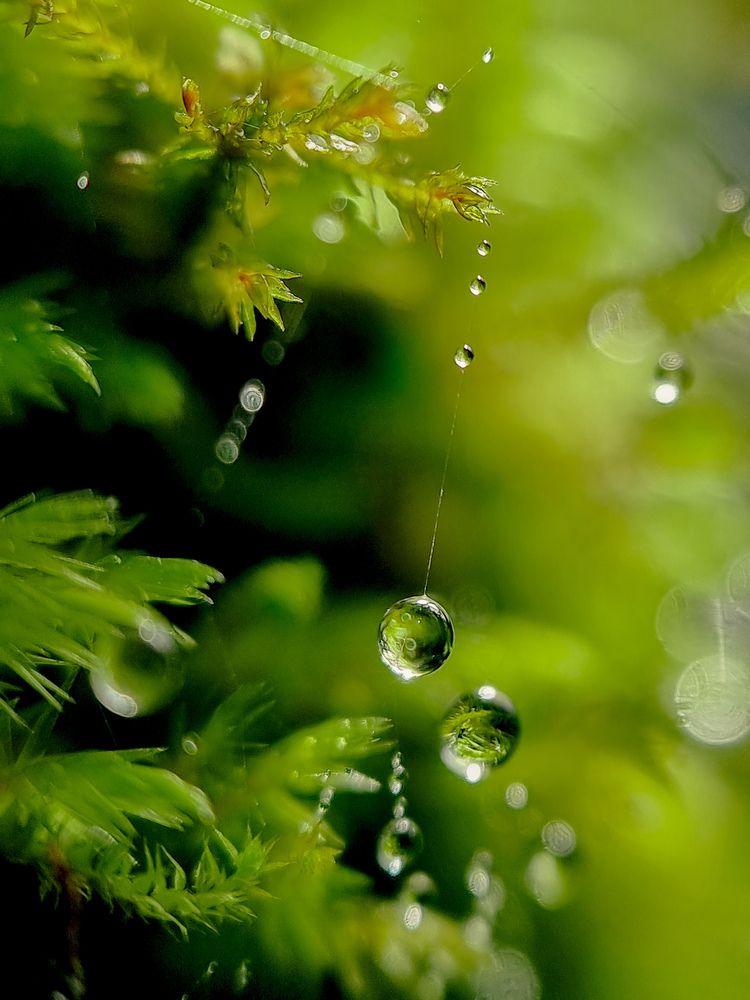 Photograph by Idham Ciptamargana