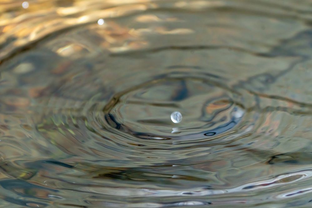 Фотография автора Ruslan Badykov